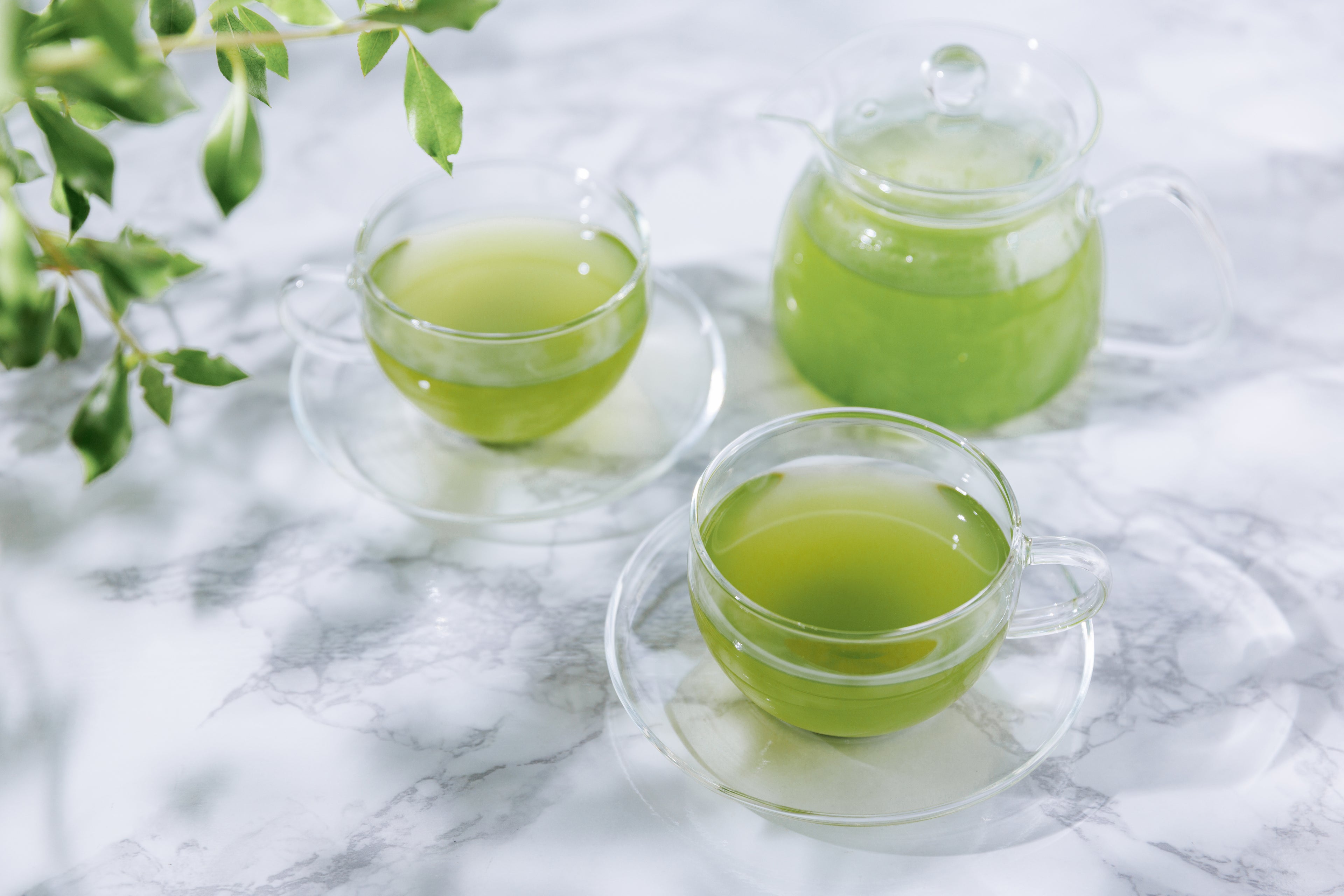 桑の葉茶