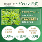 桑の葉茶
